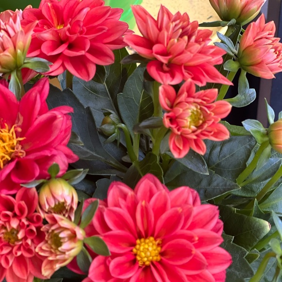 Meet your Posher, K - Picture 7 of 10